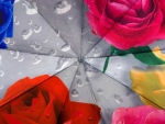 Зонт женский Amico, арт.0707-2_product